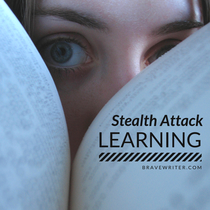 Stealth Attack Learning - A Brave Writer’s Life in Brief